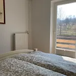 Apartma Mamut Apartman Stahovica